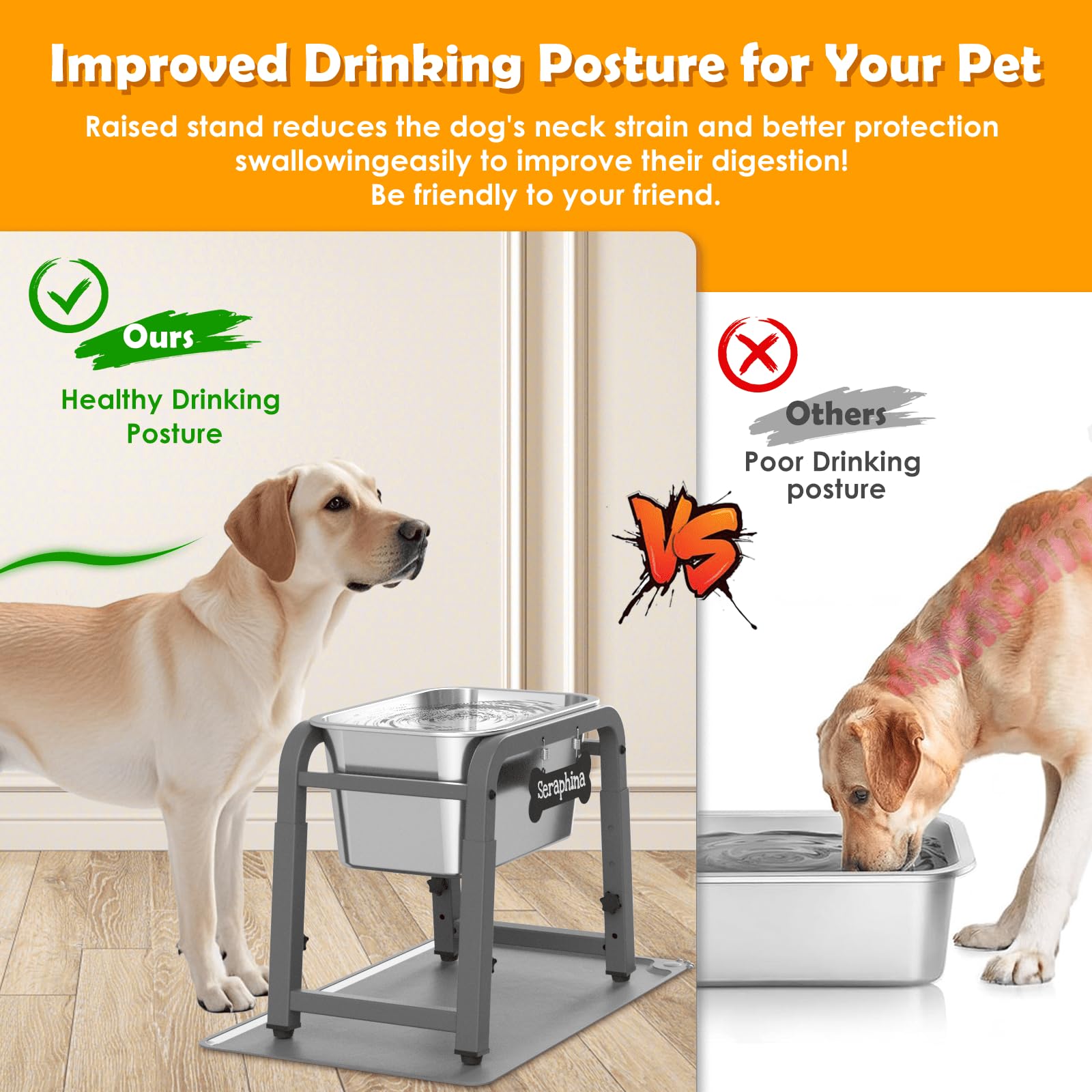 Tidant height-adjustable dog bowl stand enables comfortable drinking