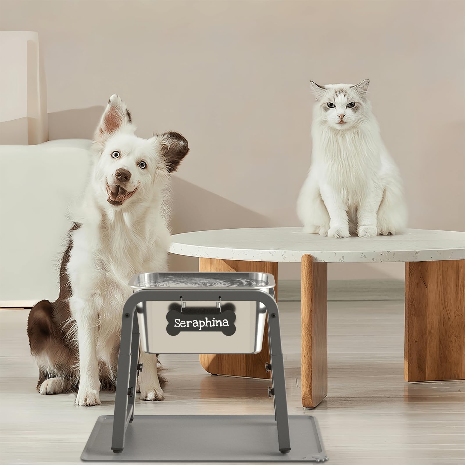 Tidant ideal for multi-dog homes, reducing refills and clutter