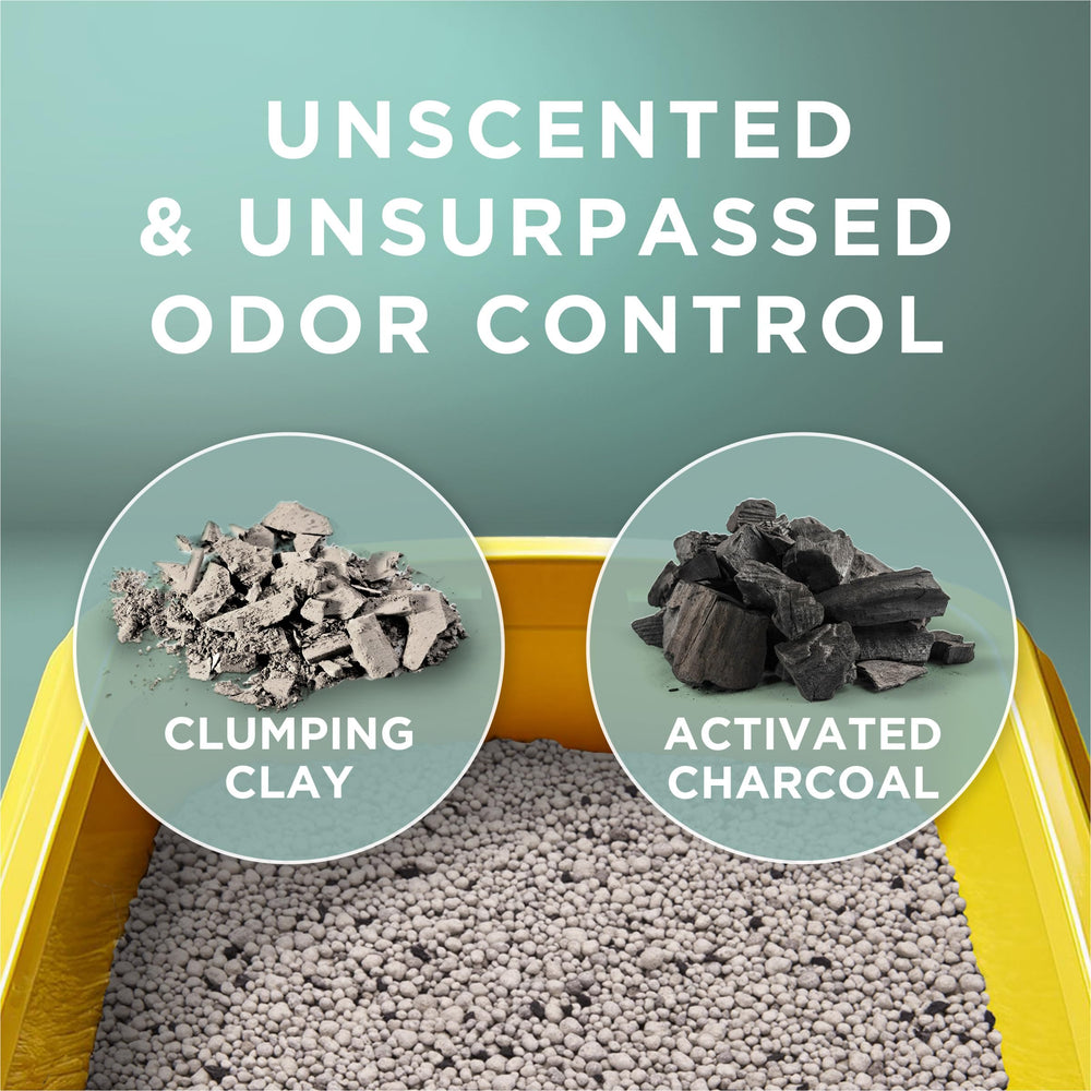 Tidy Cats Free and Clean low dust pouring closeup for mess-free handling