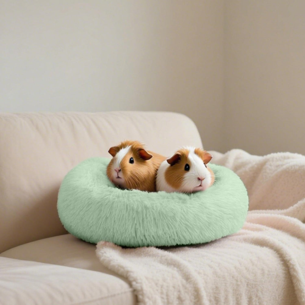 Tierecare Bunny Bed size 15.7 by 15.7 by 4 inches fits guinea pigs.
