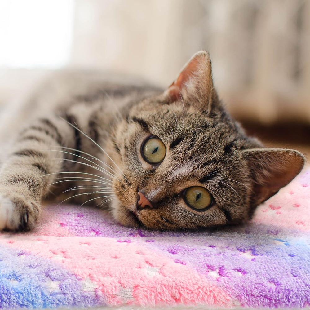 Tierecare 18x13 inch blanket fits small pets for indoor comfort.