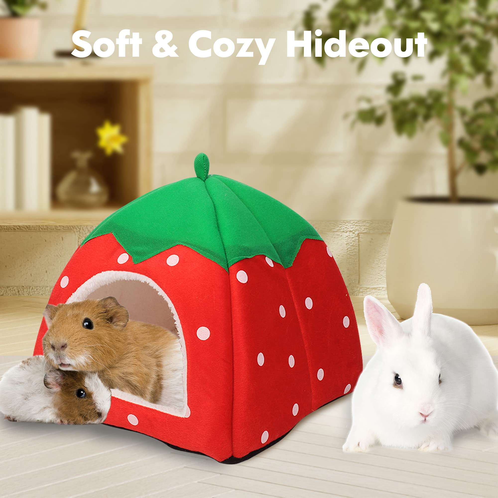 Tierecare is suitable for small pets like guinea pigs and ferrets.