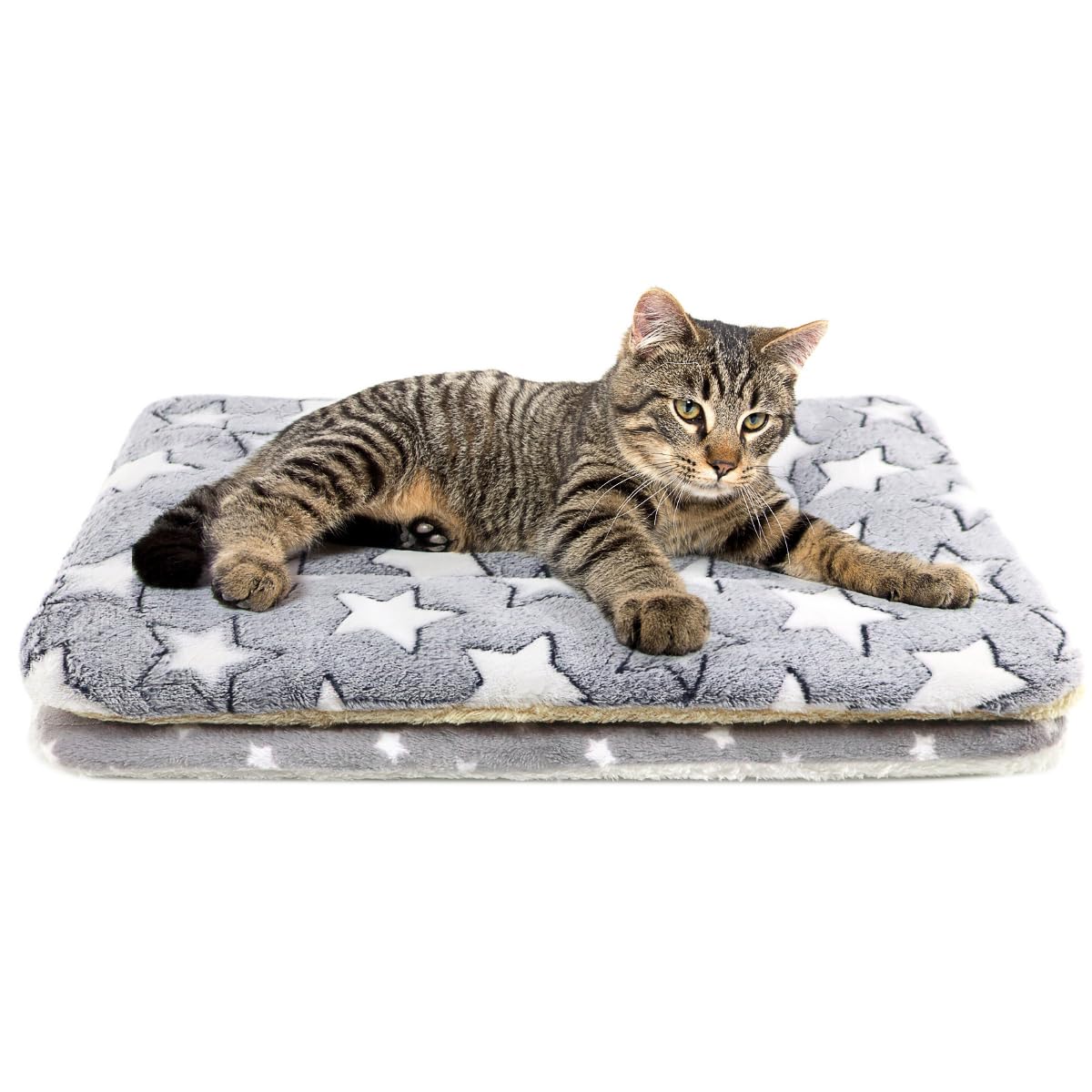 Tierrecare cat blanket soft lounge close-up showing plush fleece for cozy indoor lounging.