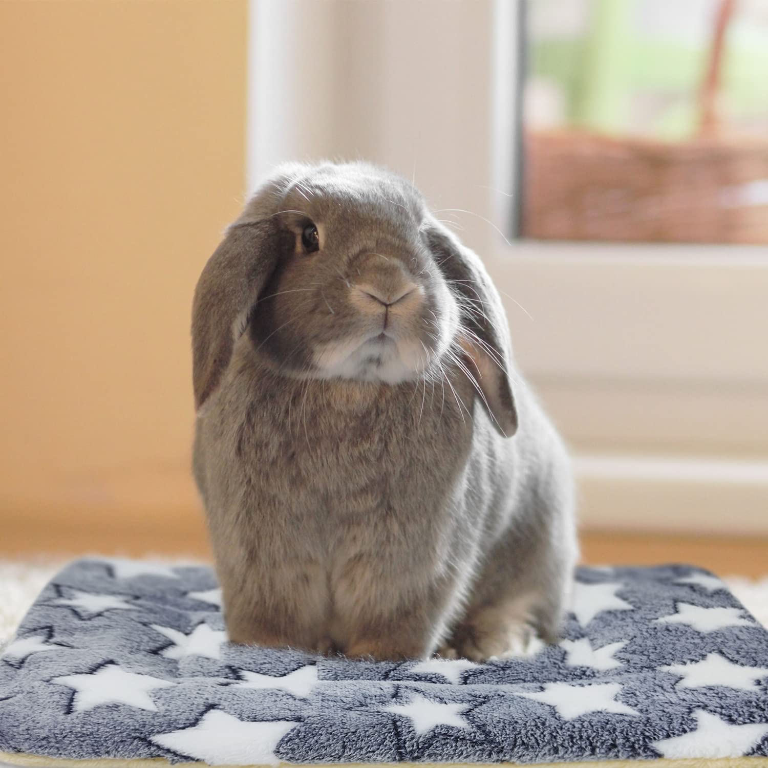 Tierecare sleep mat serves as a cozy multiuse blanket for cages or lap sessions
