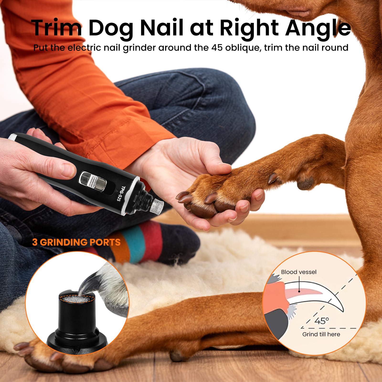 Tife dog nail grinder whisper-quiet operation for calm sessions