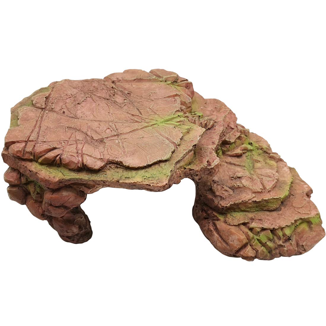 TIHOOD turtle platform on rectangular aquarium for easy basking and better viewing