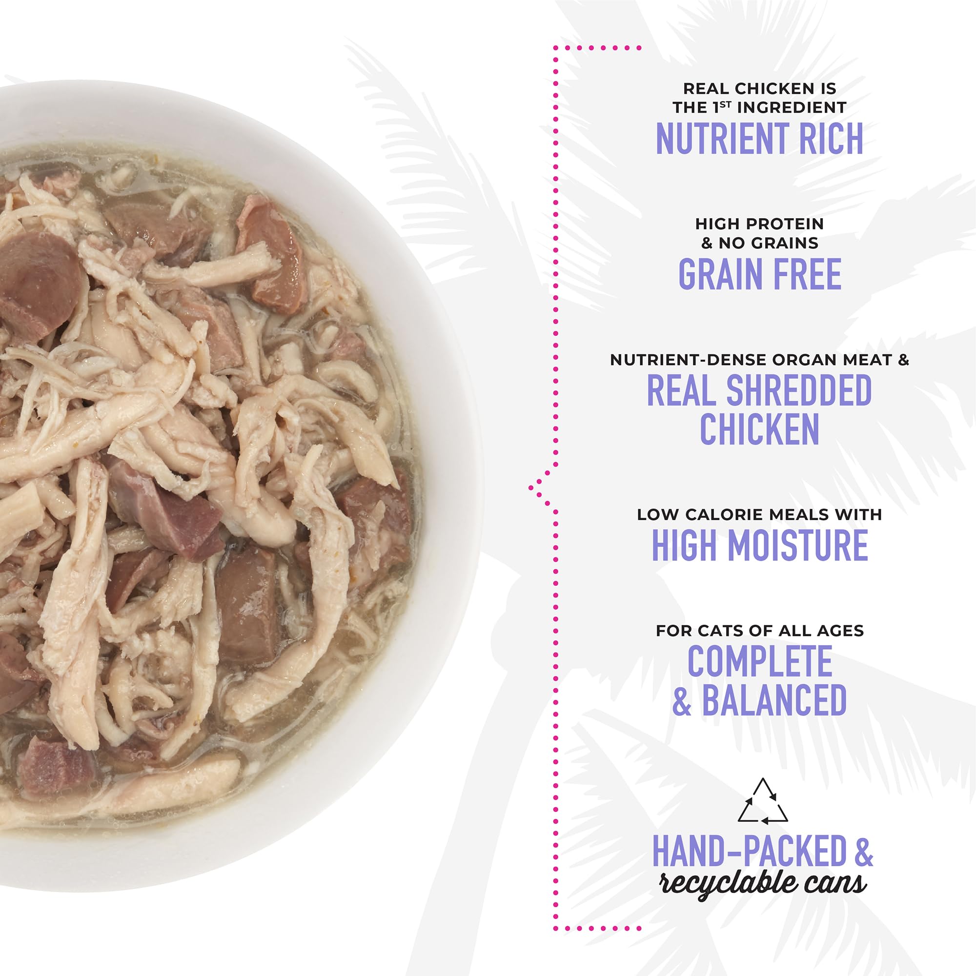 Tiki Cat After Dark open can reveals shredded chicken in rich liquid.