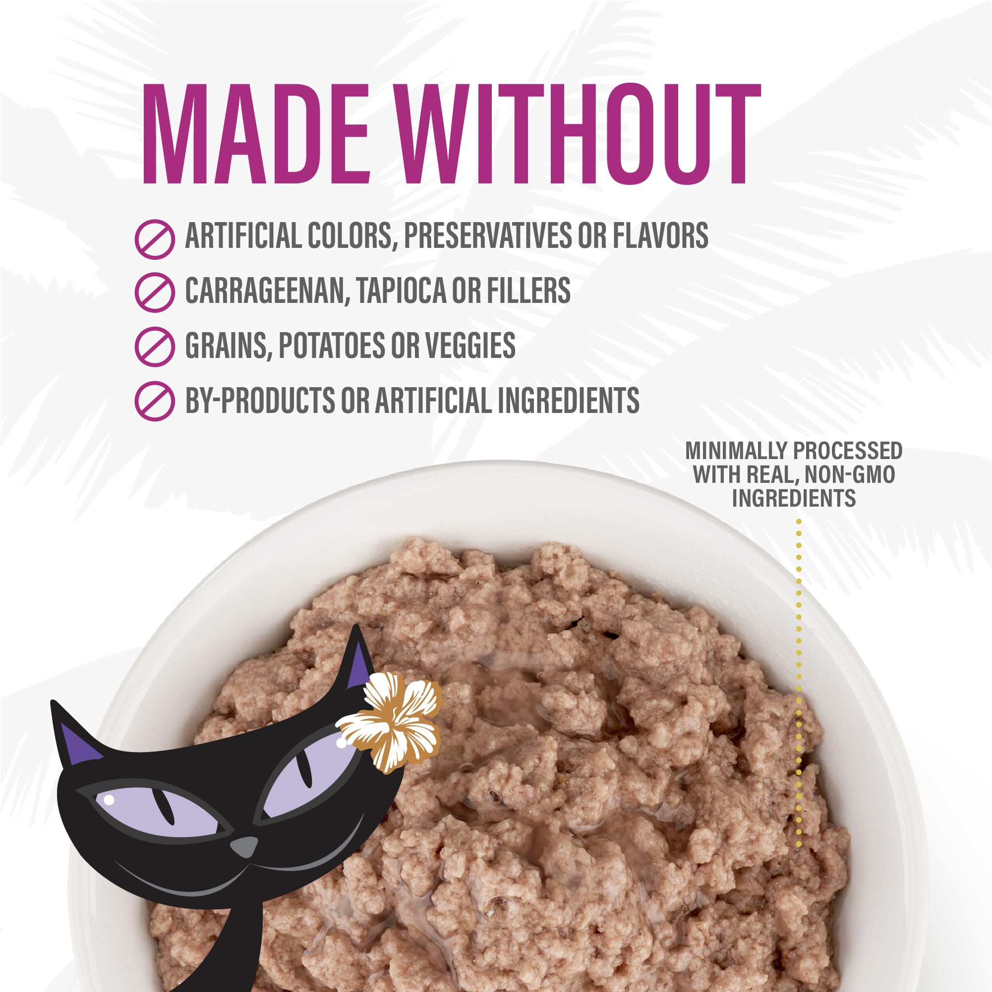 Tiki Cat After Dark pate grain-free promise shown in product image