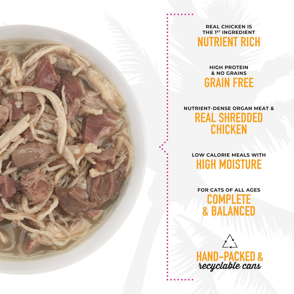 Tiki Cat After Dark served bowl demonstrates a moist, palatable meal for adult cats.