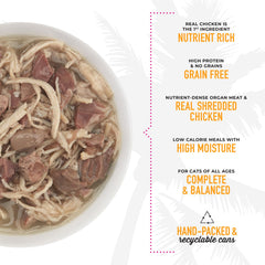 Tiki Cat After Dark served bowl demonstrates a moist, palatable meal for adult cats.