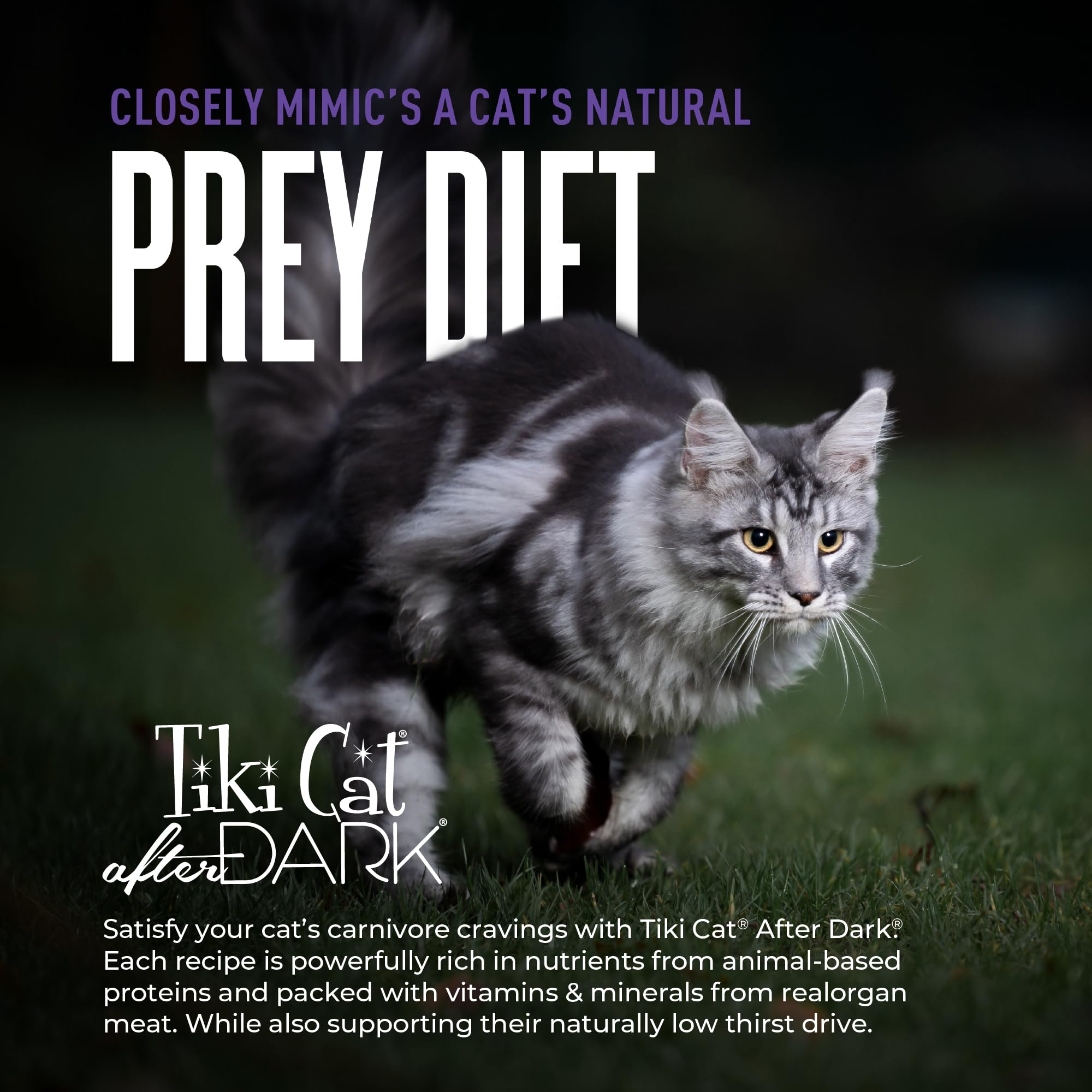 Tiki Cat After Dark Shreds No Carrageenan: clean ingredient profile for trust.