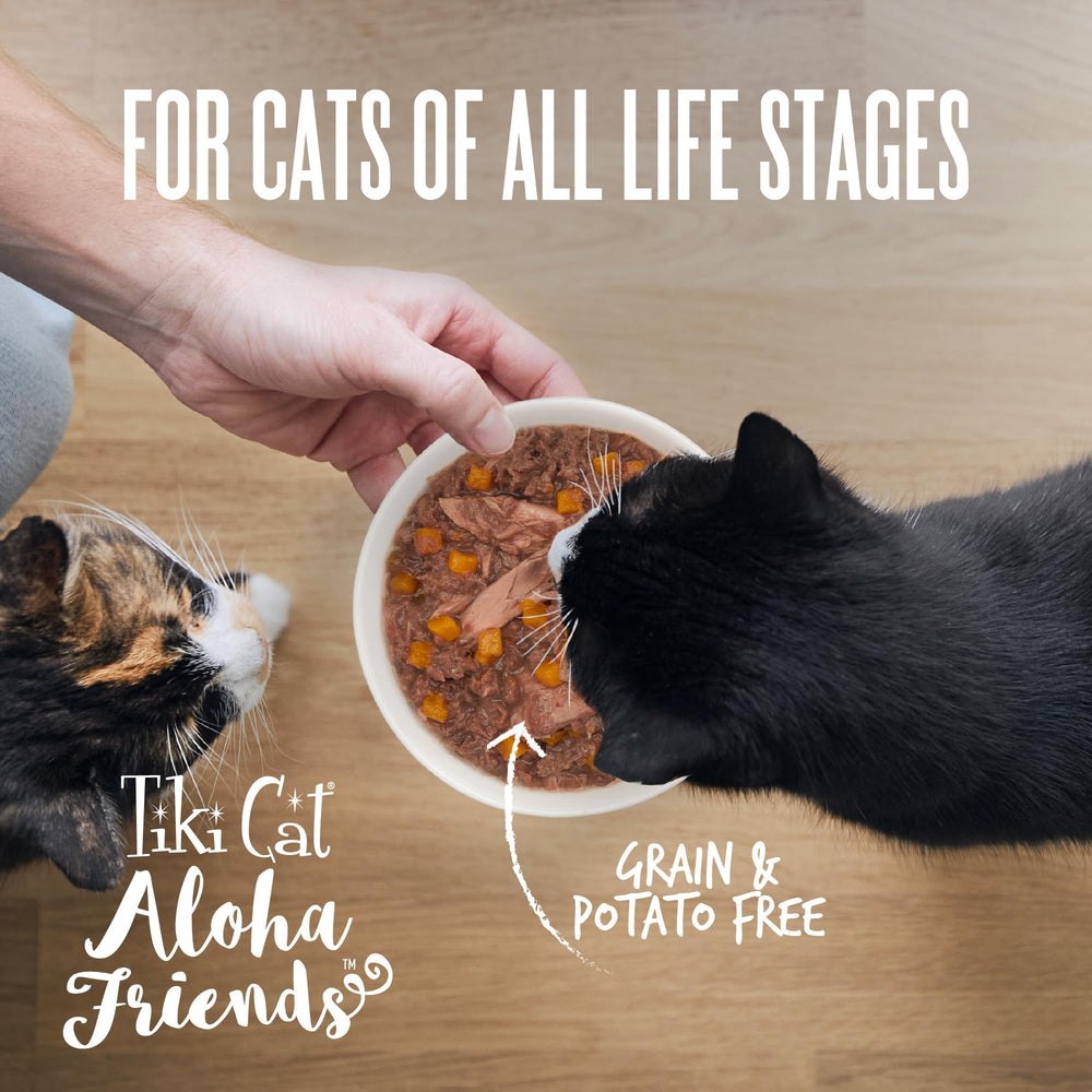 Tiki Cat Aloha Friends no artificial preservatives signals clean ingredients
