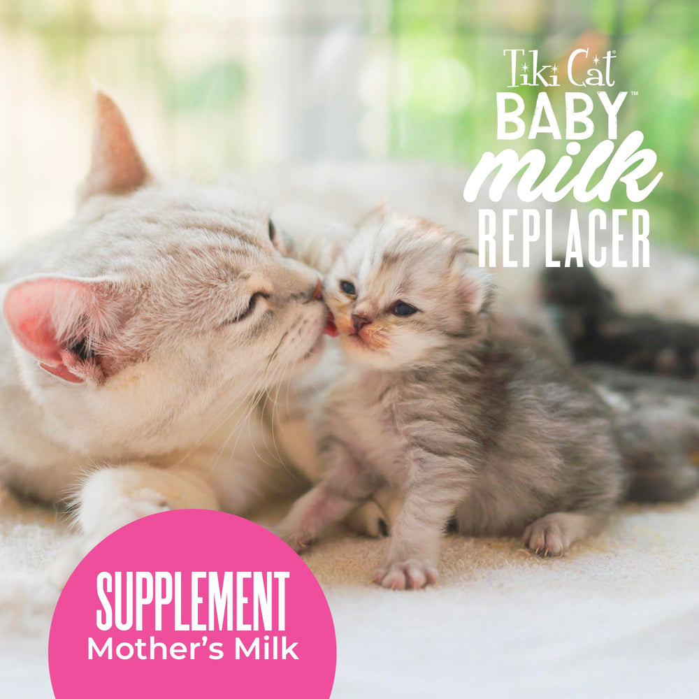 Tiki Cat Baby Milk Replacer high-calorie formula for growing kittens.
