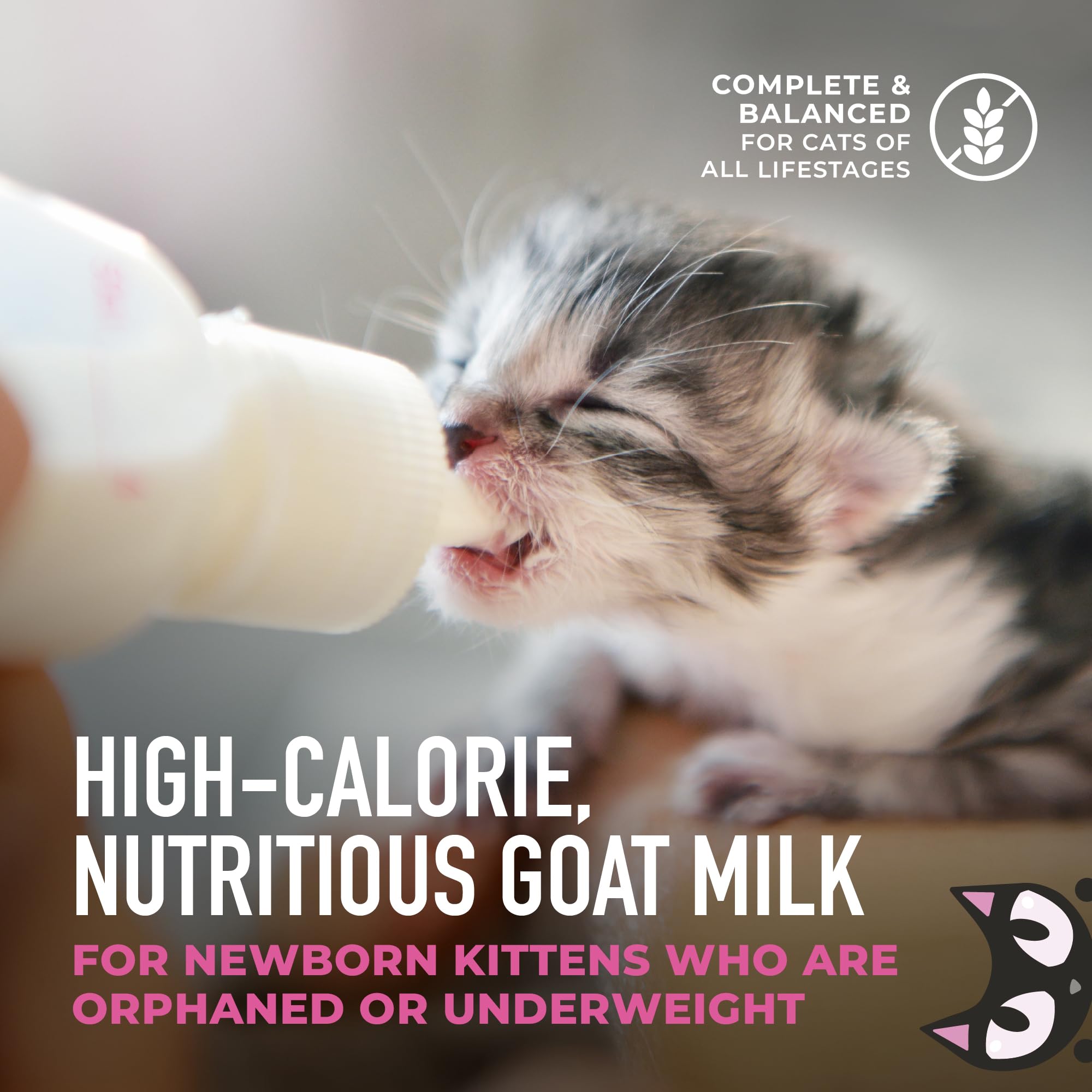 Tiki Cat Baby Milk Replacer ready-to-feed setup saves time.