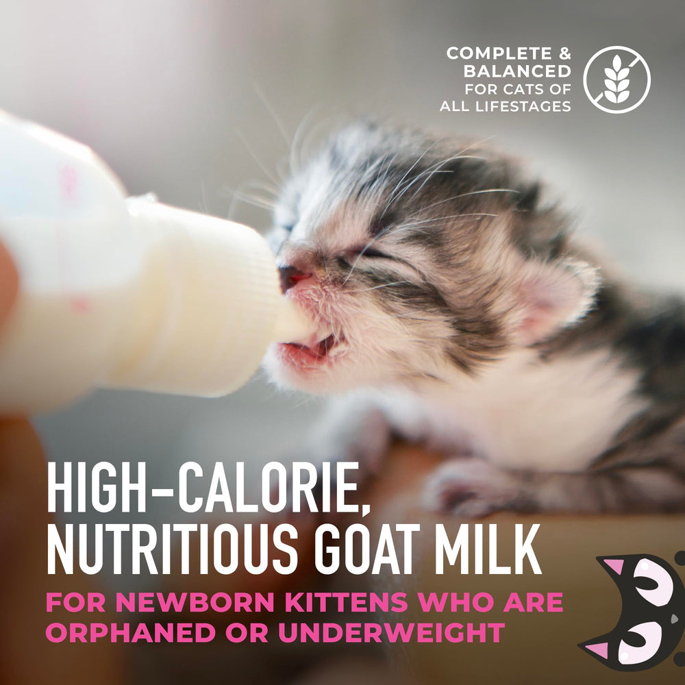Tiki Cat Baby Milk Replacer ready-to-feed setup saves time.