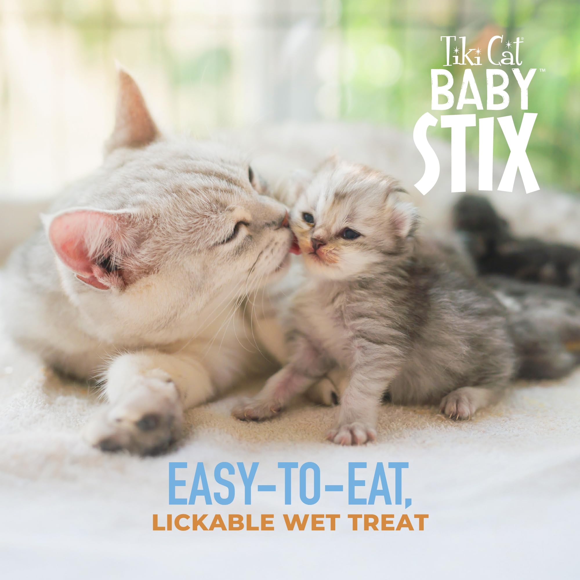 Person hand-feeding a kitten with Tiki Cat Baby Stix for bonding.