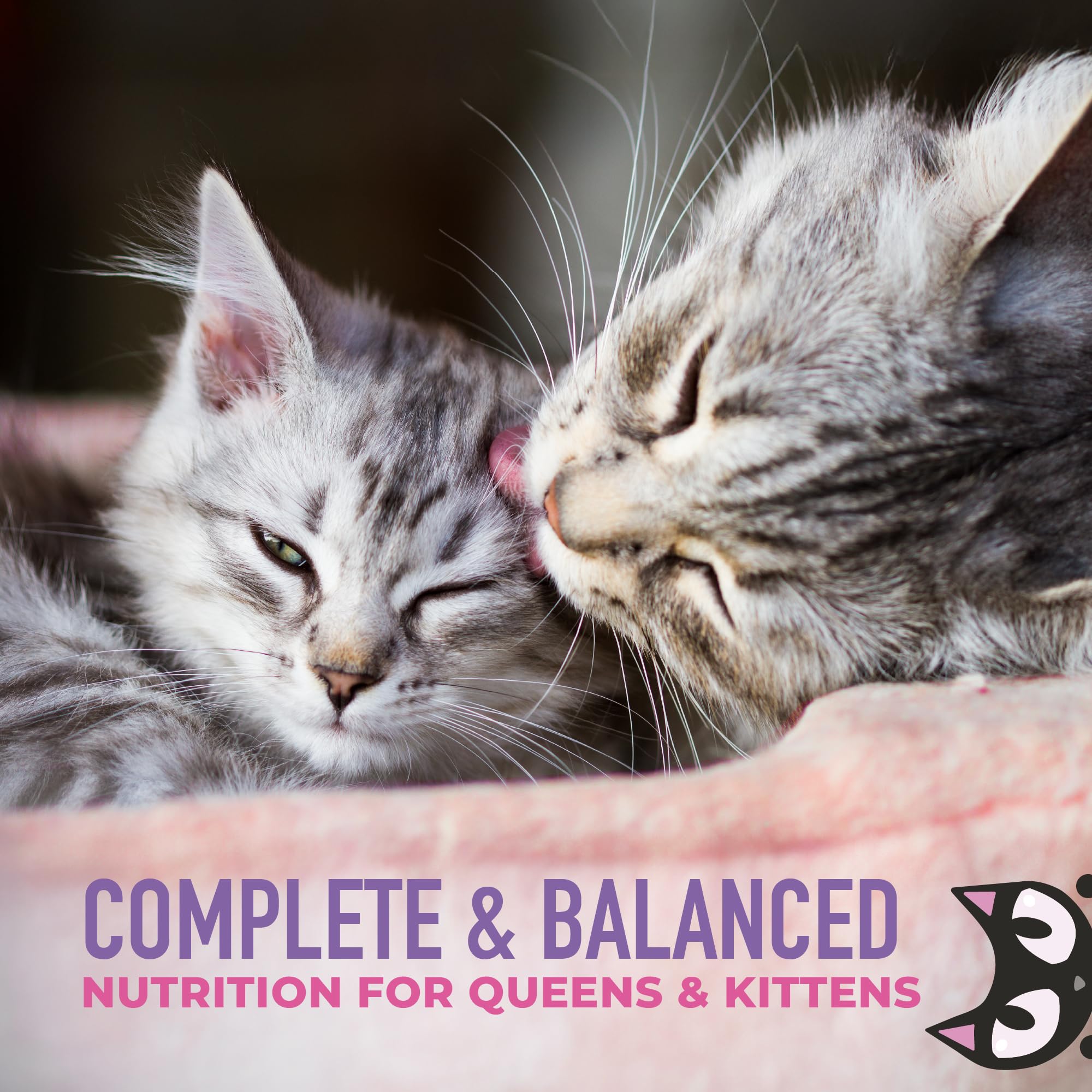 Tiki Cat Baby Weaning Puree immune support nutrition close-up.