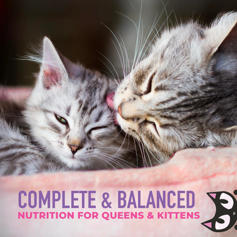 Tiki Cat Baby Weaning Puree immune support nutrition close-up.