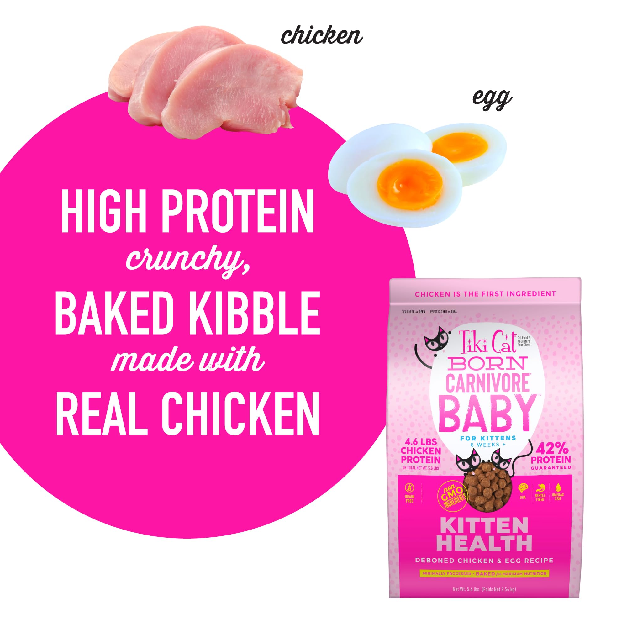 Tiki Cat Born Carnivore Baby kitten meal texture and aroma