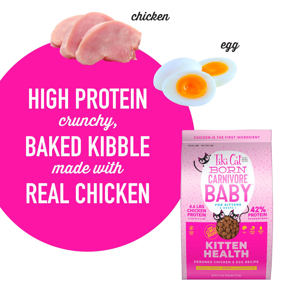 Tiki Cat Born Carnivore Baby kitten meal texture and aroma
