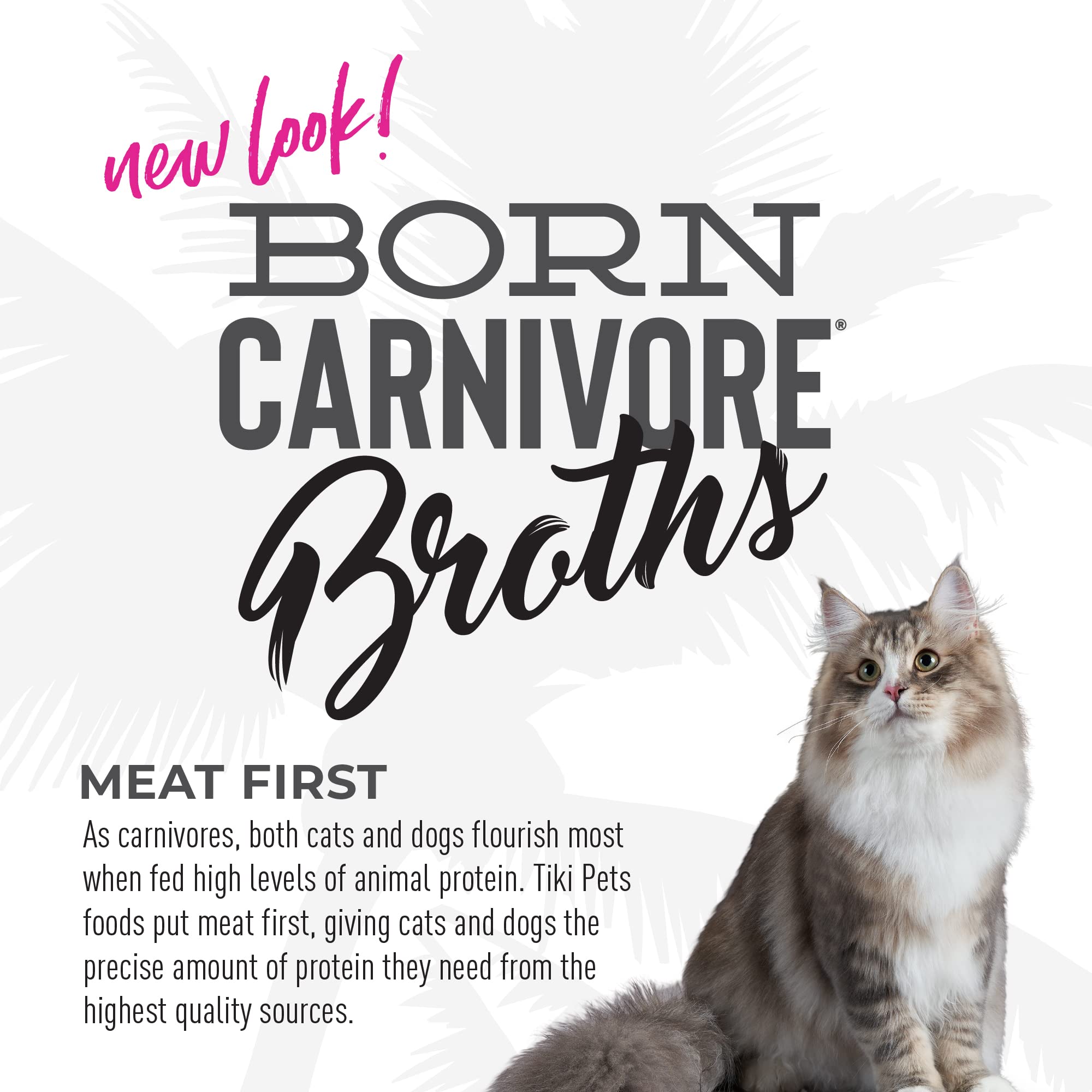 Tiki Cat Born Carnivore Broths cat enjoys topping for meals.