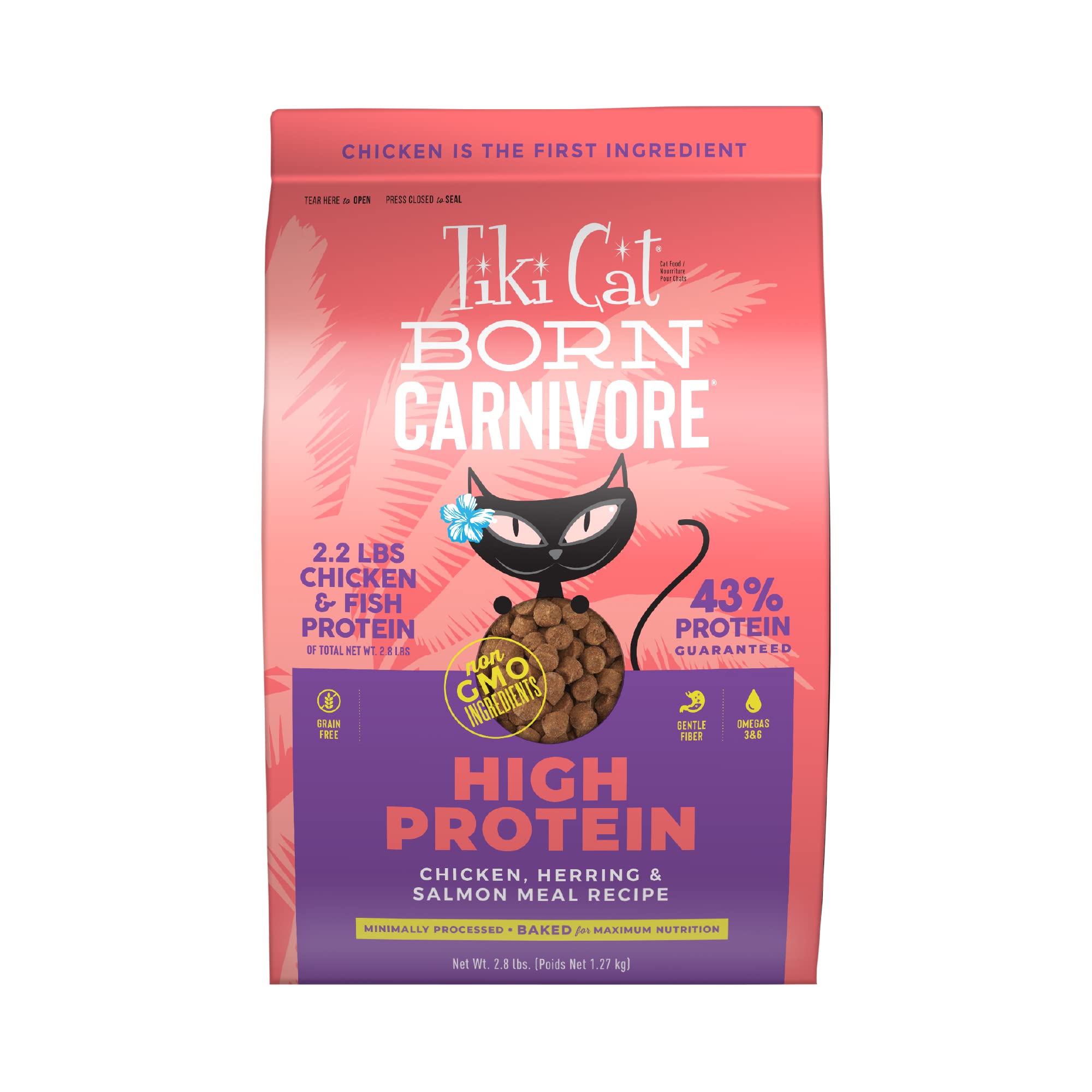 Tiki Cat Born Carnivore chicken kibble bowl shows protein-rich meal for cats.