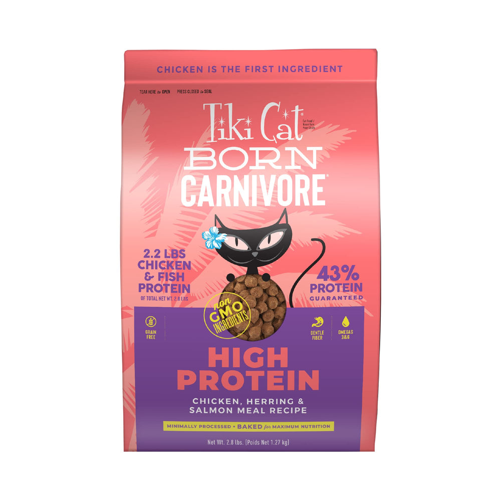 Tiki Cat Born Carnivore chicken kibble bowl shows protein-rich meal for cats.