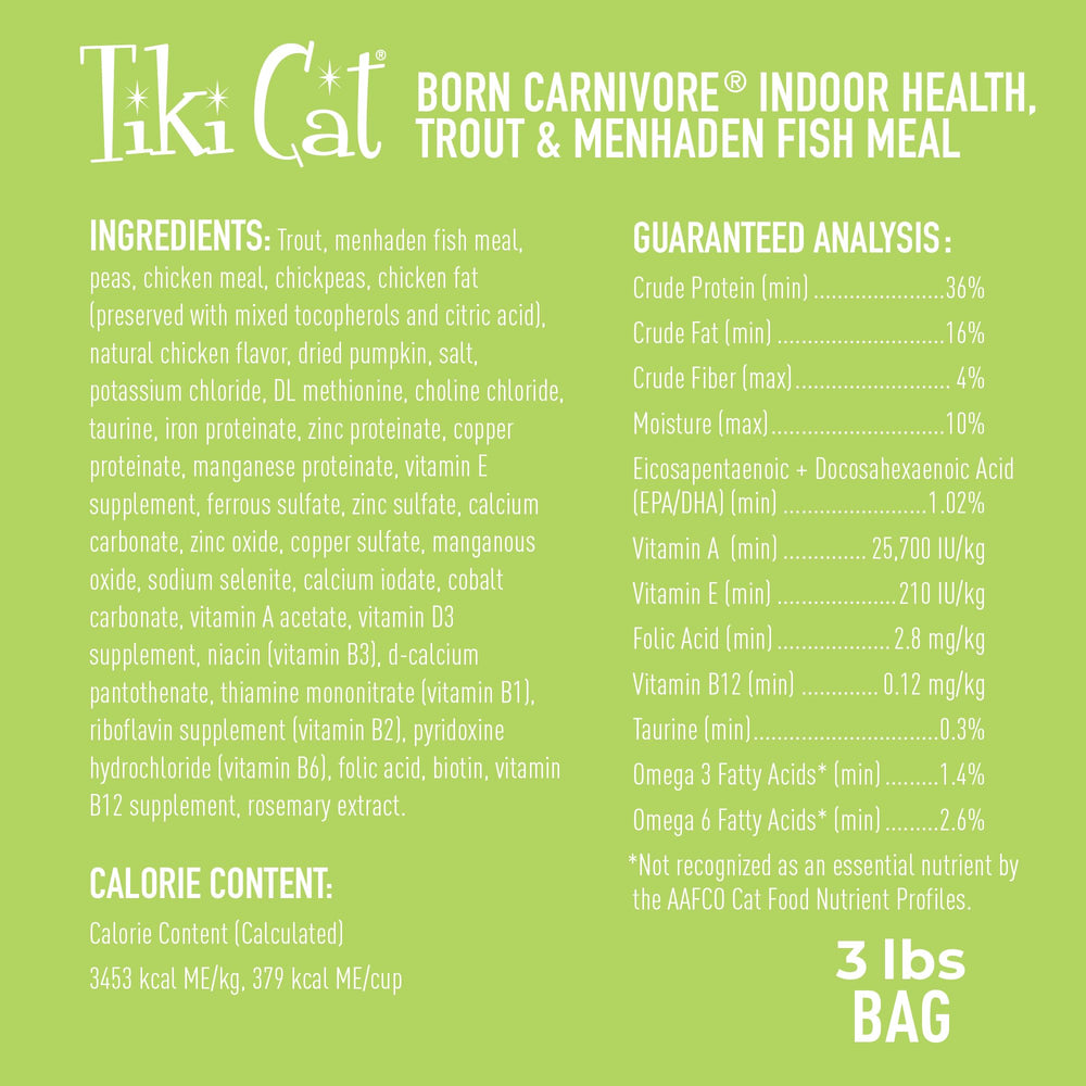 Close-up of Tiki Cat Born Carnivore dry kibble showing crunchy texture