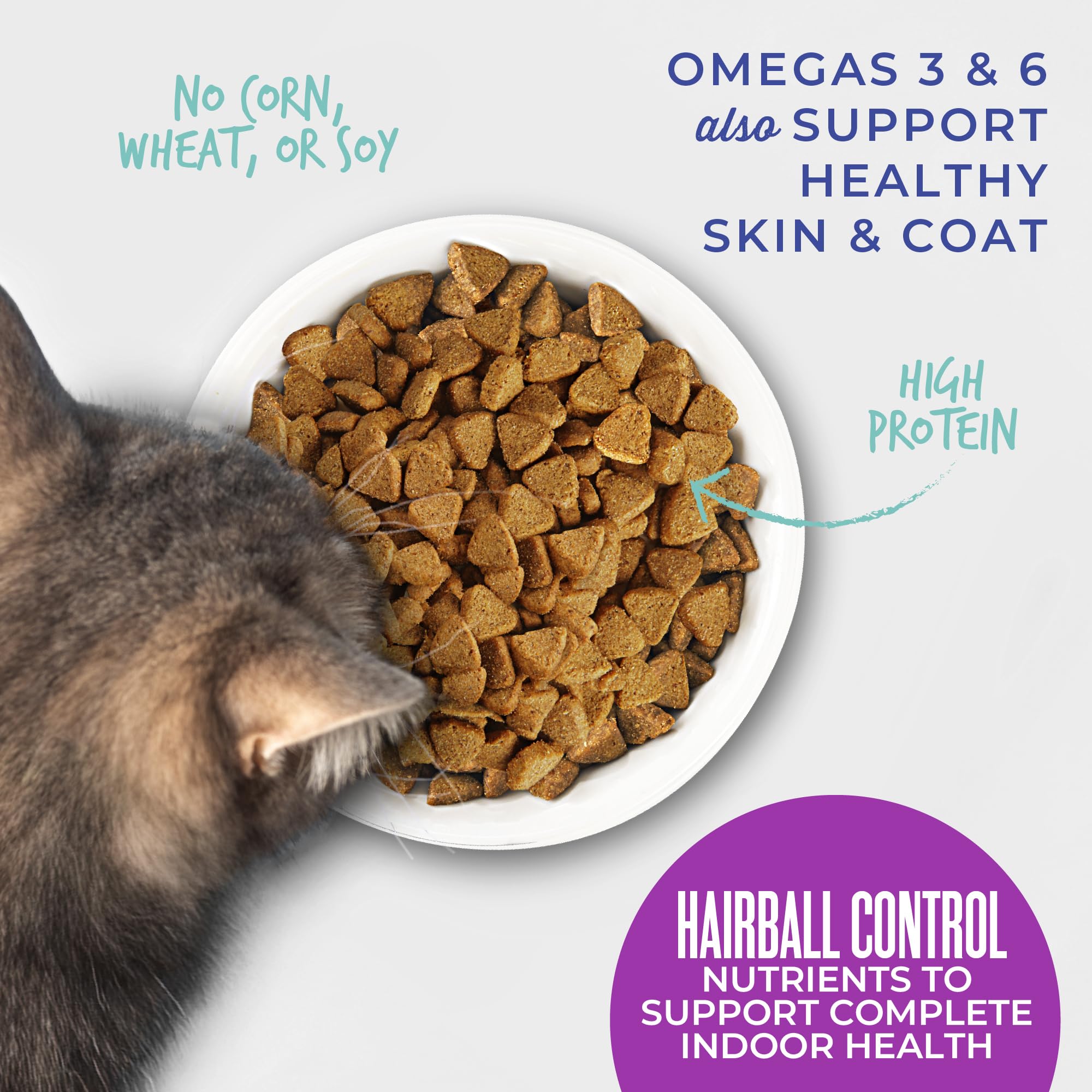 Tiki Cat Born Carnivore free-from-corn-wheat-soy image showing simple ingredients.