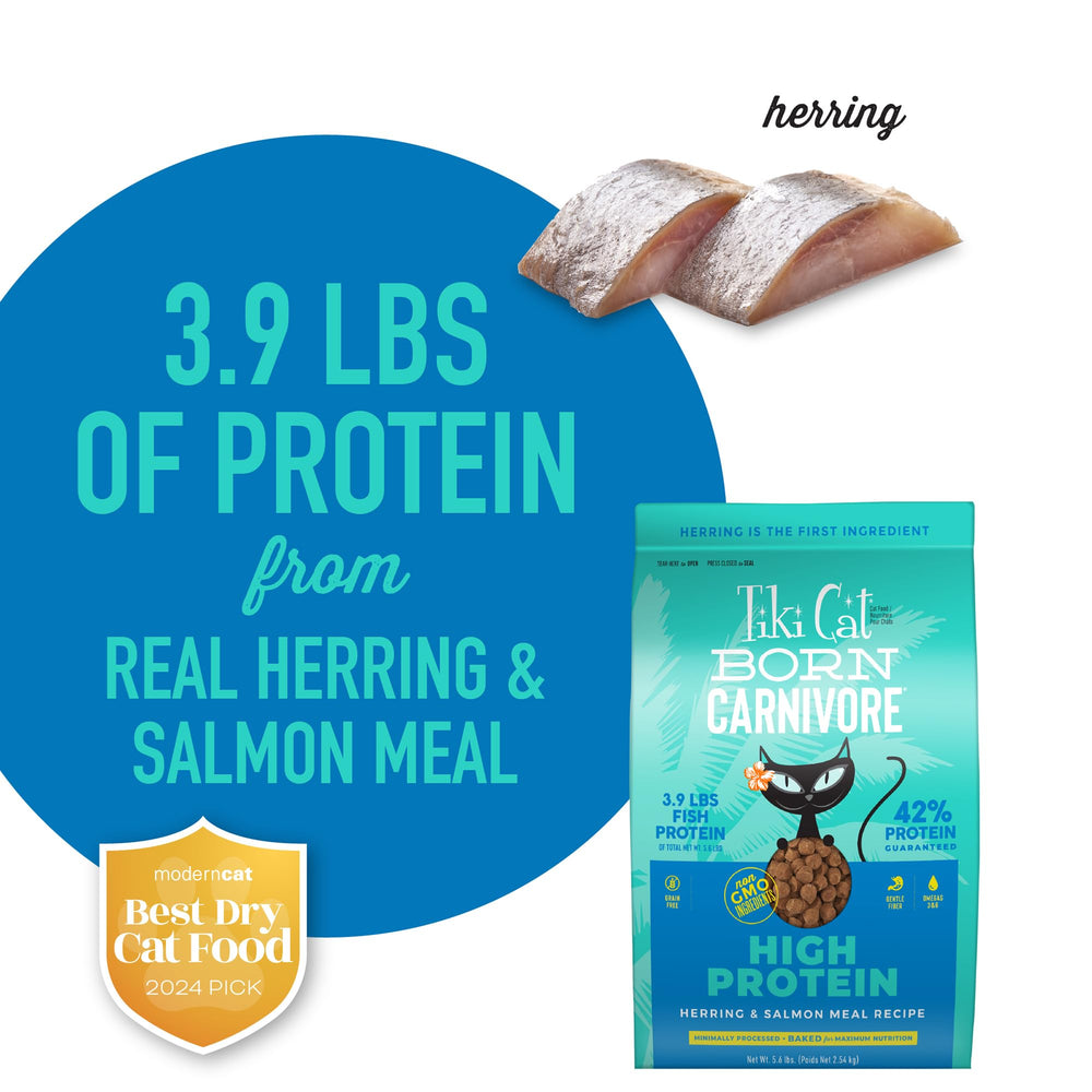 Serving suggestion shows a bowl of tiki cat born carnivore for balanced meals