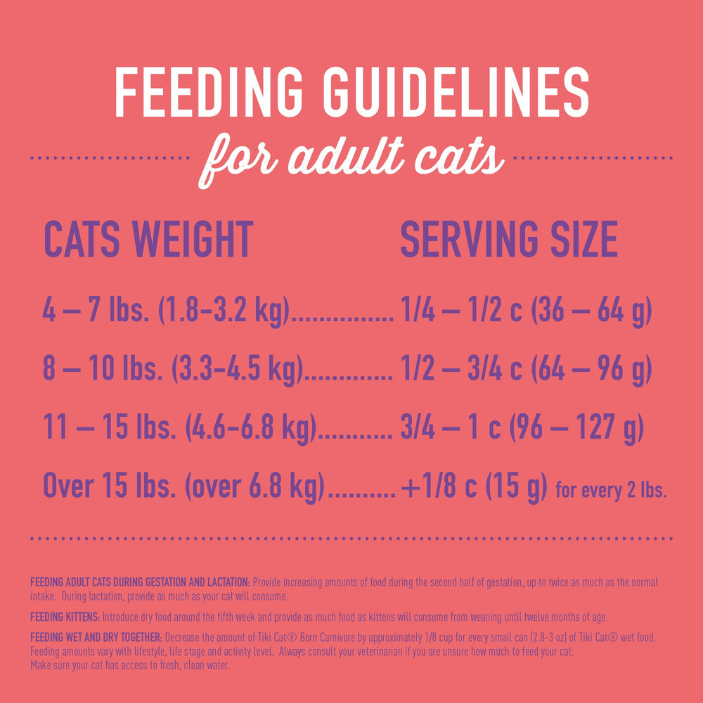 Tiki Cat Born Carnivore served in a bowl emphasizes protein-forward meal.