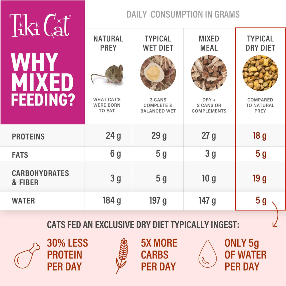 Tiki Cat Born Carnivore Silver topper is squeezable and versatile for dry food or solo serving.
