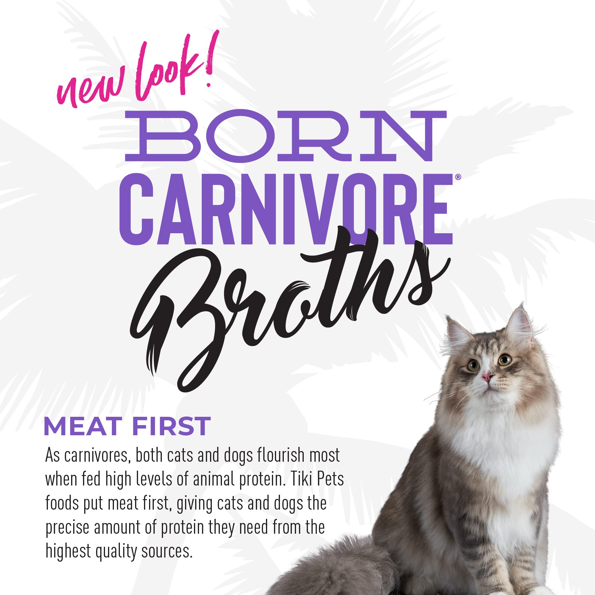 TIKI CAT broth enhances mealtime with savory hydration.