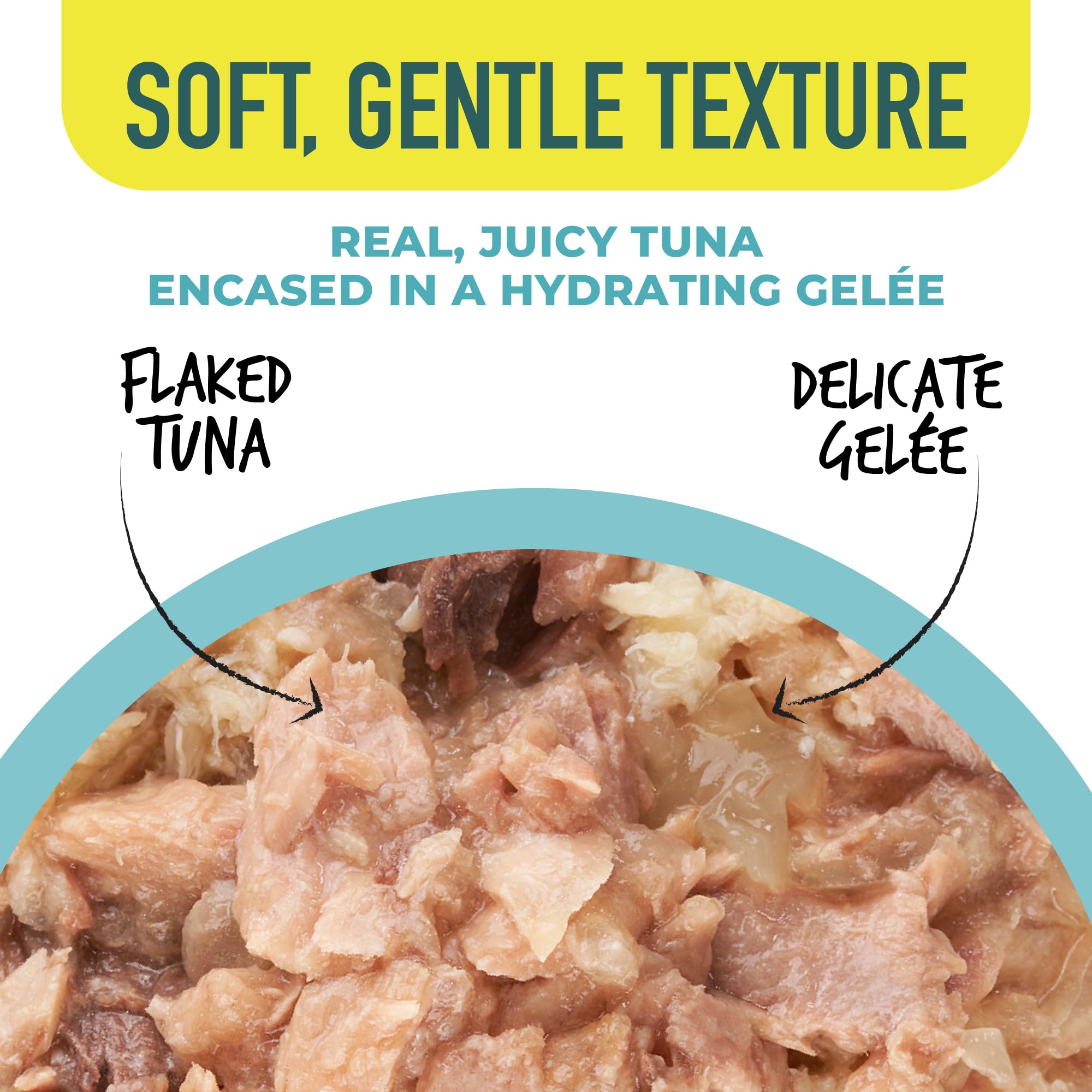 Close-up of Tiki Cat Gelee's moist gelee texture for cats