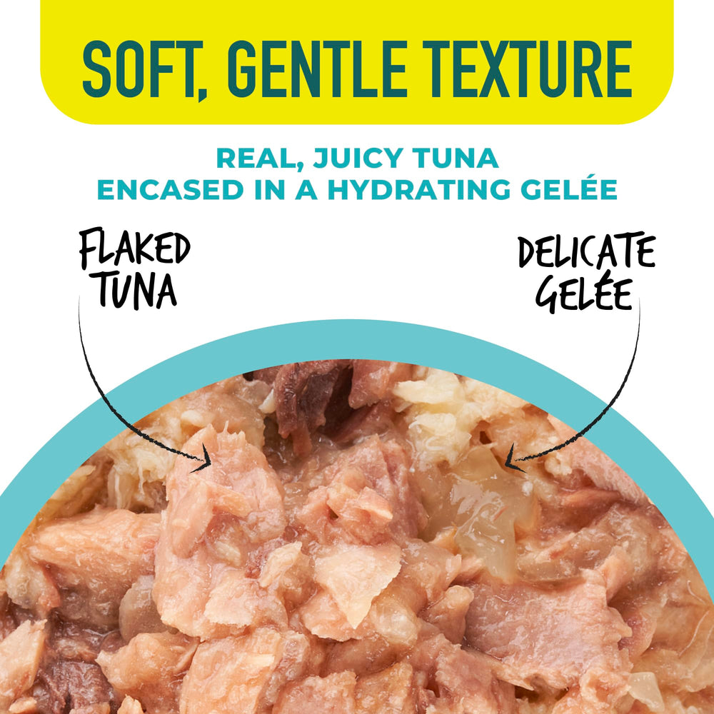 Close-up of Tiki Cat Gelee's moist gelee texture for cats