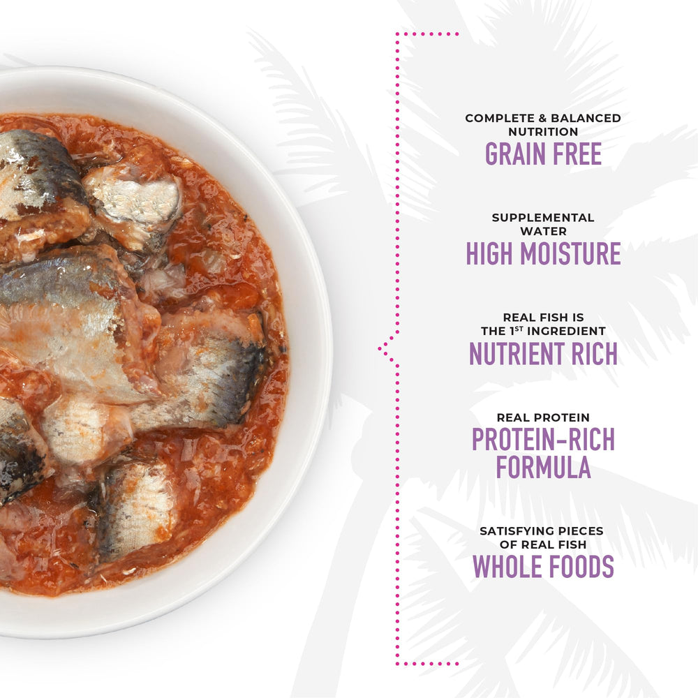 Tiki Cat Grill consommé-rich broth in a serving bowl supports hydration.