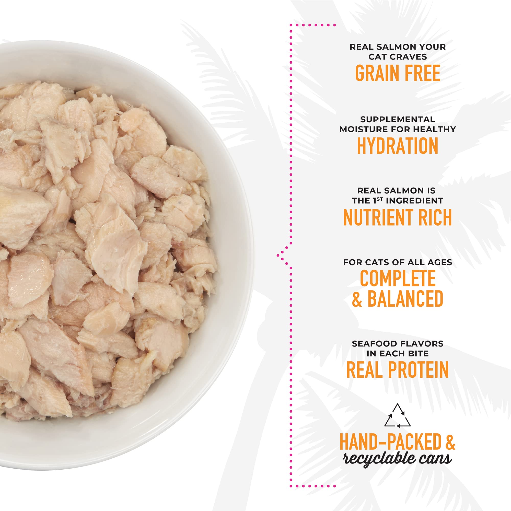 Tiki Cat Luau high moisture consomme illustrates accessible hydration with meals.