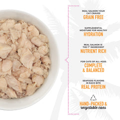 Tiki Cat Luau high moisture consomme illustrates accessible hydration with meals.