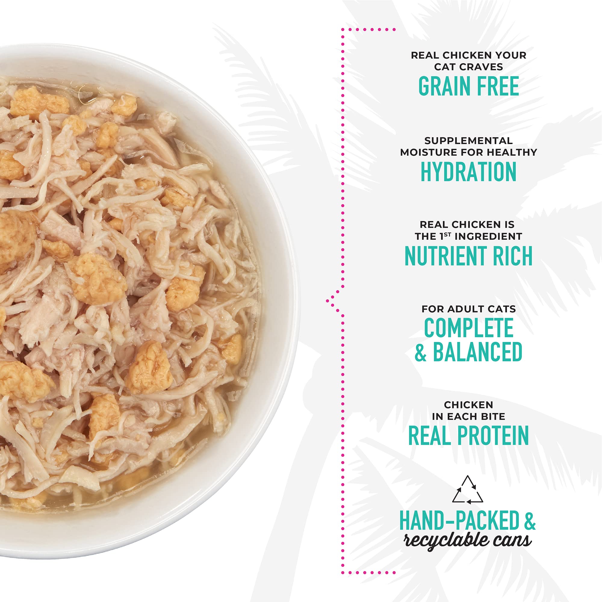 Tiki Cat Luau wet cat food broth visualization highlights savory texture.