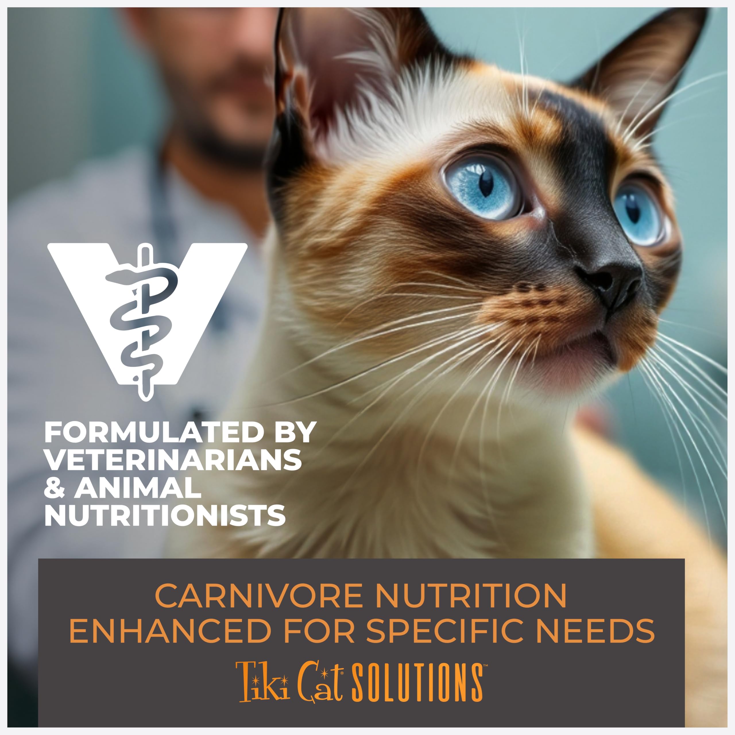 Tiki Cat Solutions Digestion Mousse for adult cats offers balanced nourishment.