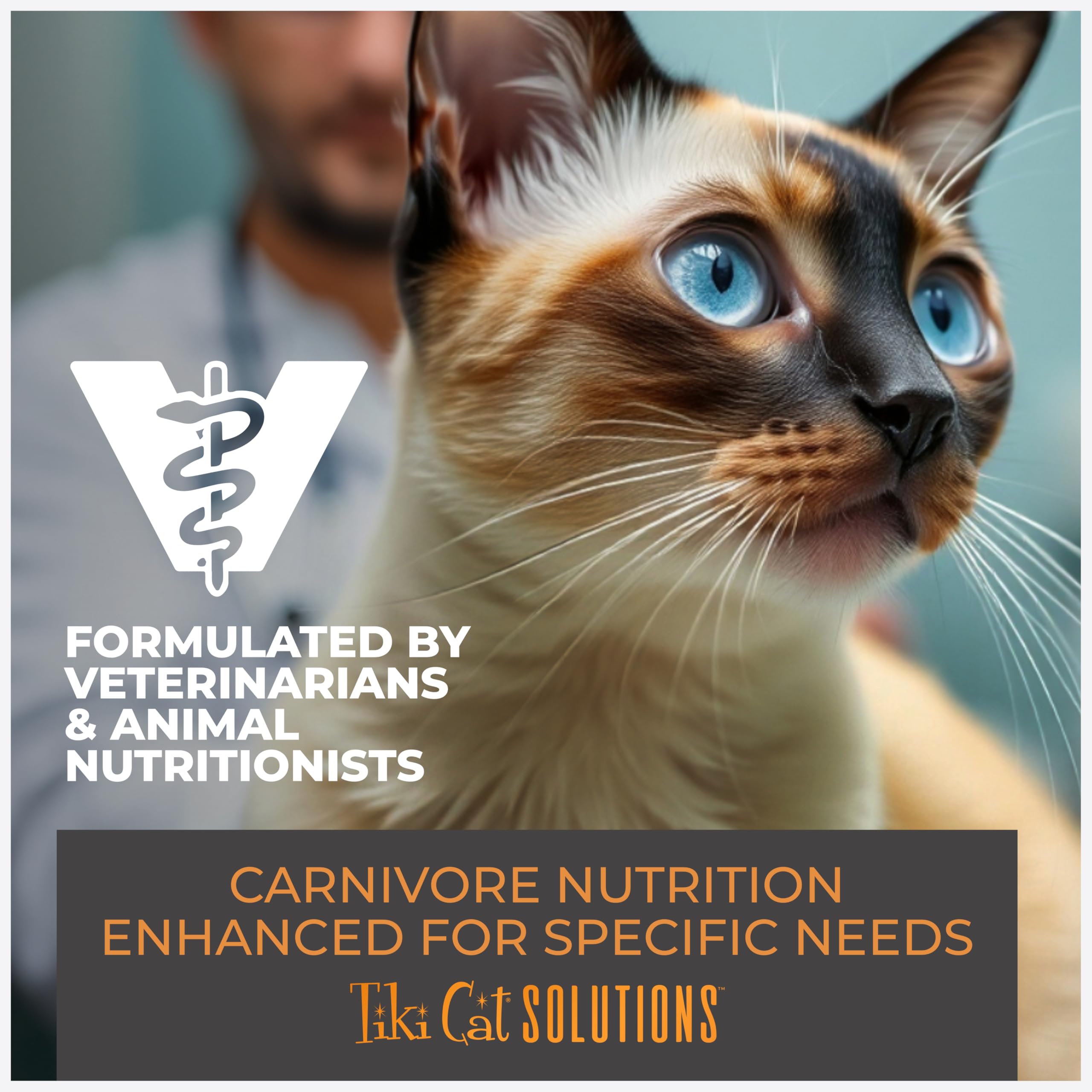 Serving bowl with TIKI CAT Solutions Digestion promoting omega 3 & 6 balance