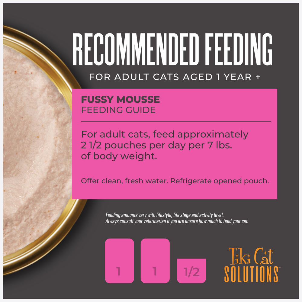 Serving bowl with creamy mousse from Tiki Cat Solutions Fussy.