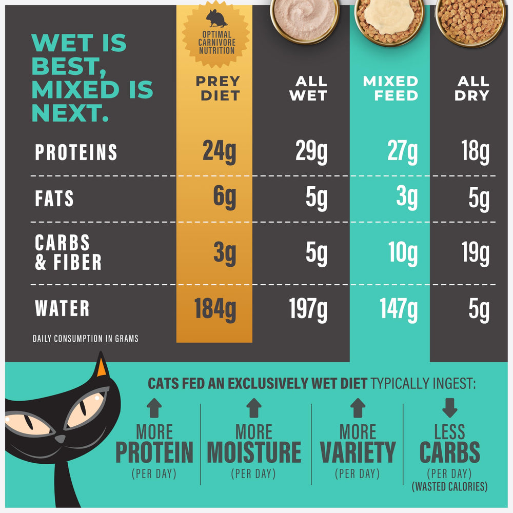 TIKI PETS Grain-free icon indicating grain-free formula.