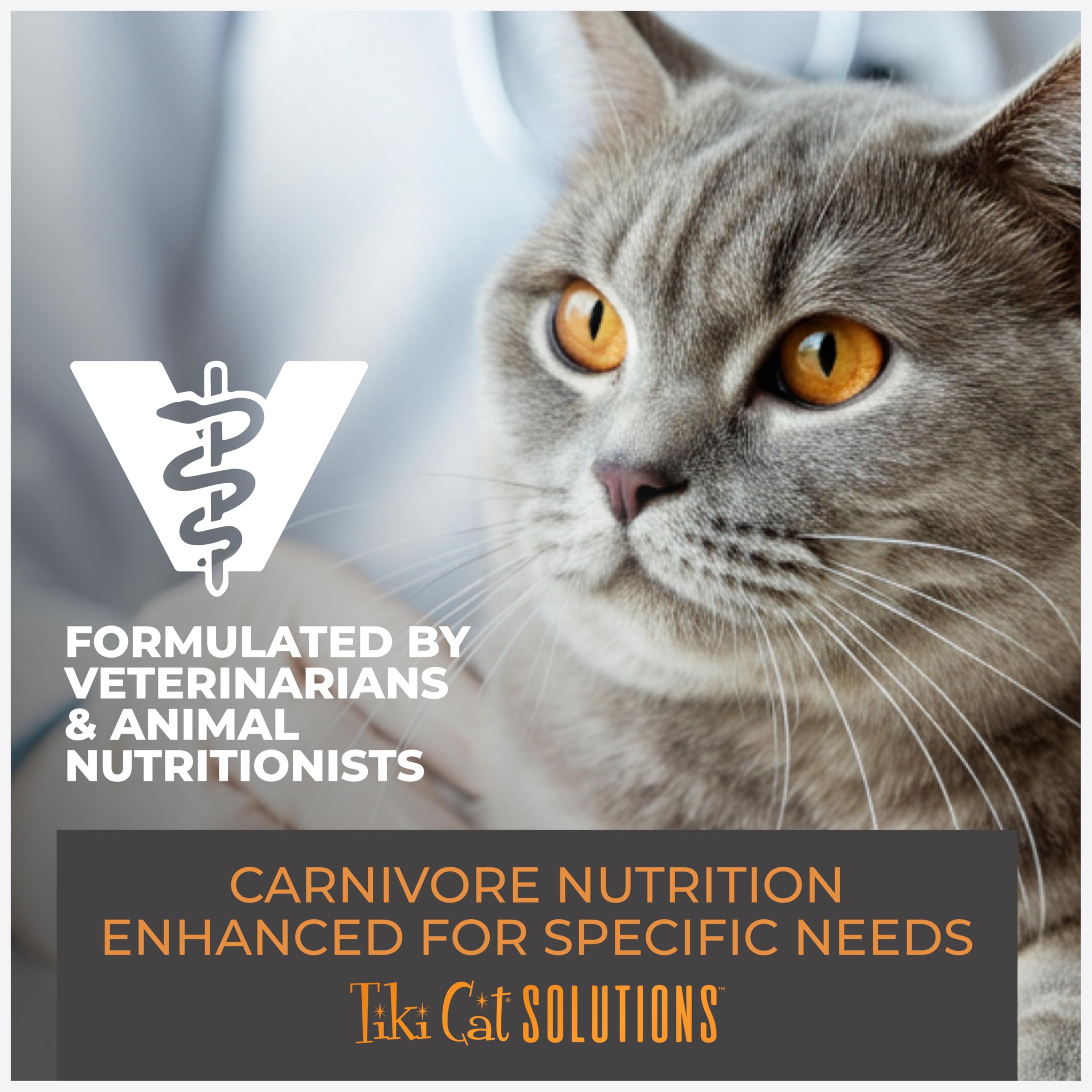 Adult cats enjoy Tiki Cat Solutions Light Mousse as part of a lighter feeding plan.