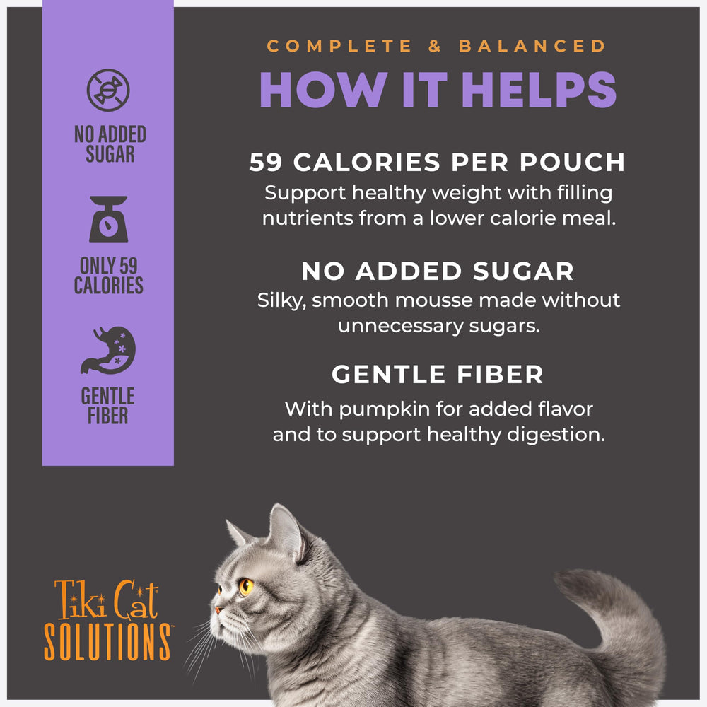 Smooth mousse texture of Tiki Cat Solutions Light Mousse with visible pumpkin bits.