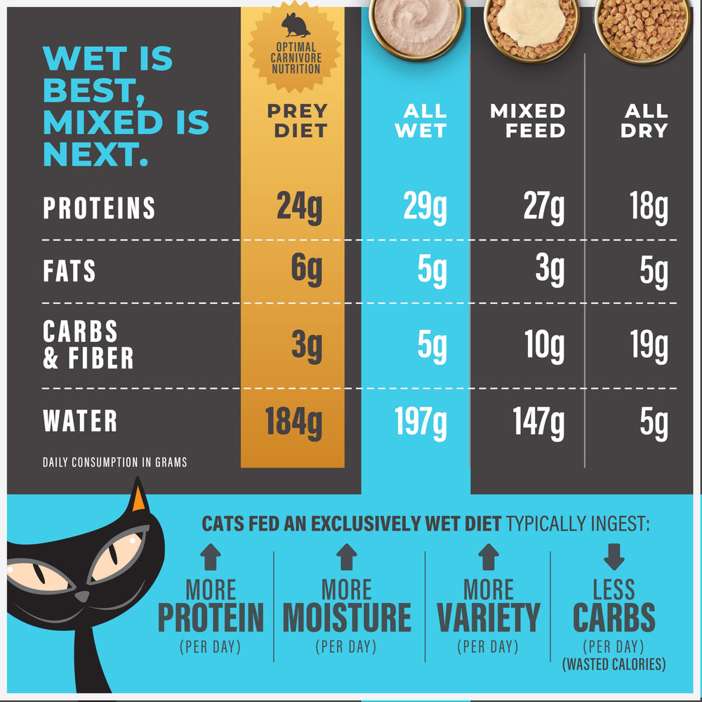 Tiki Cat Solutions ready-to-serve liquid meal — great for cats needing hydration