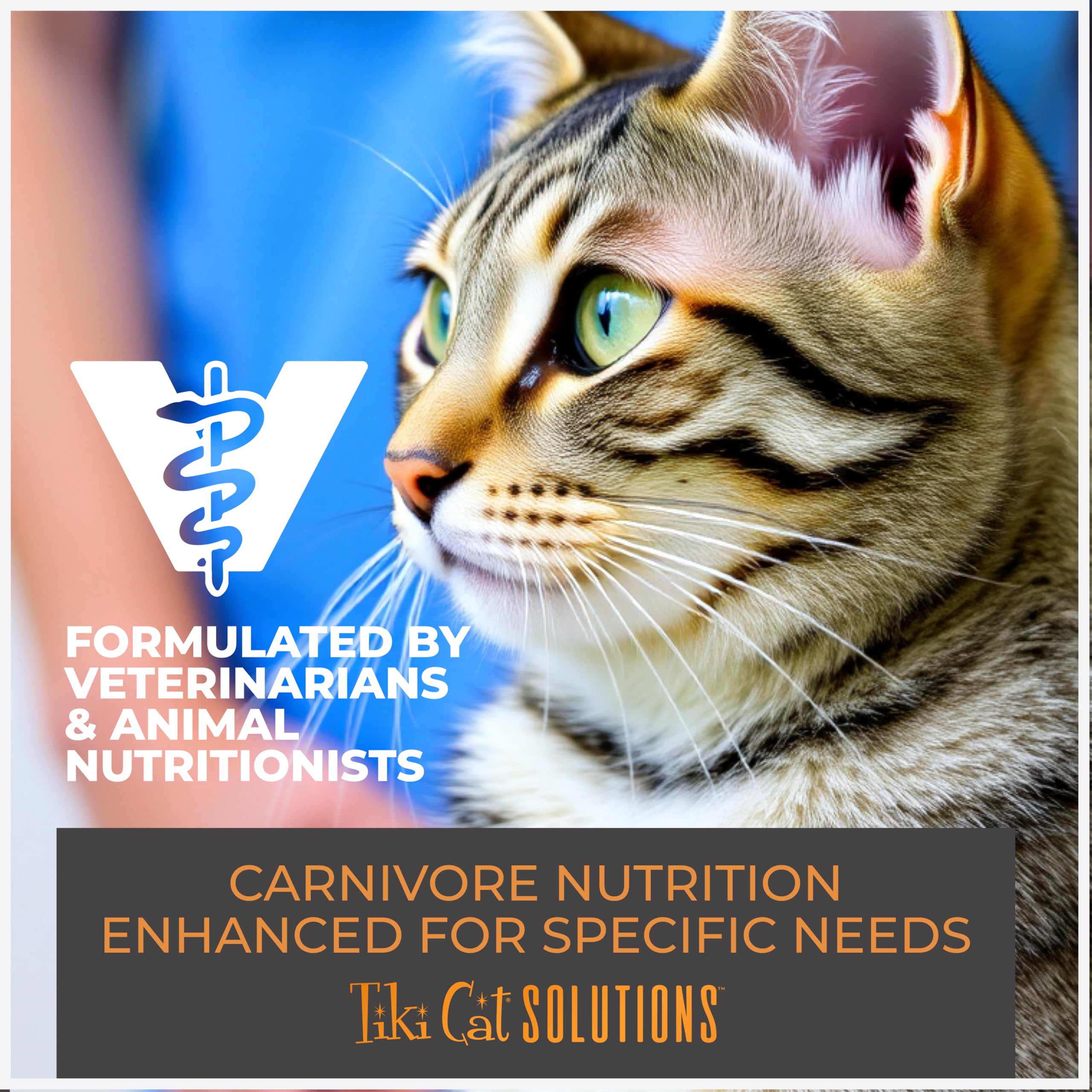 Tiki Cat Solutions protein-rich tuna formula — supports essential nutrients in liquid form