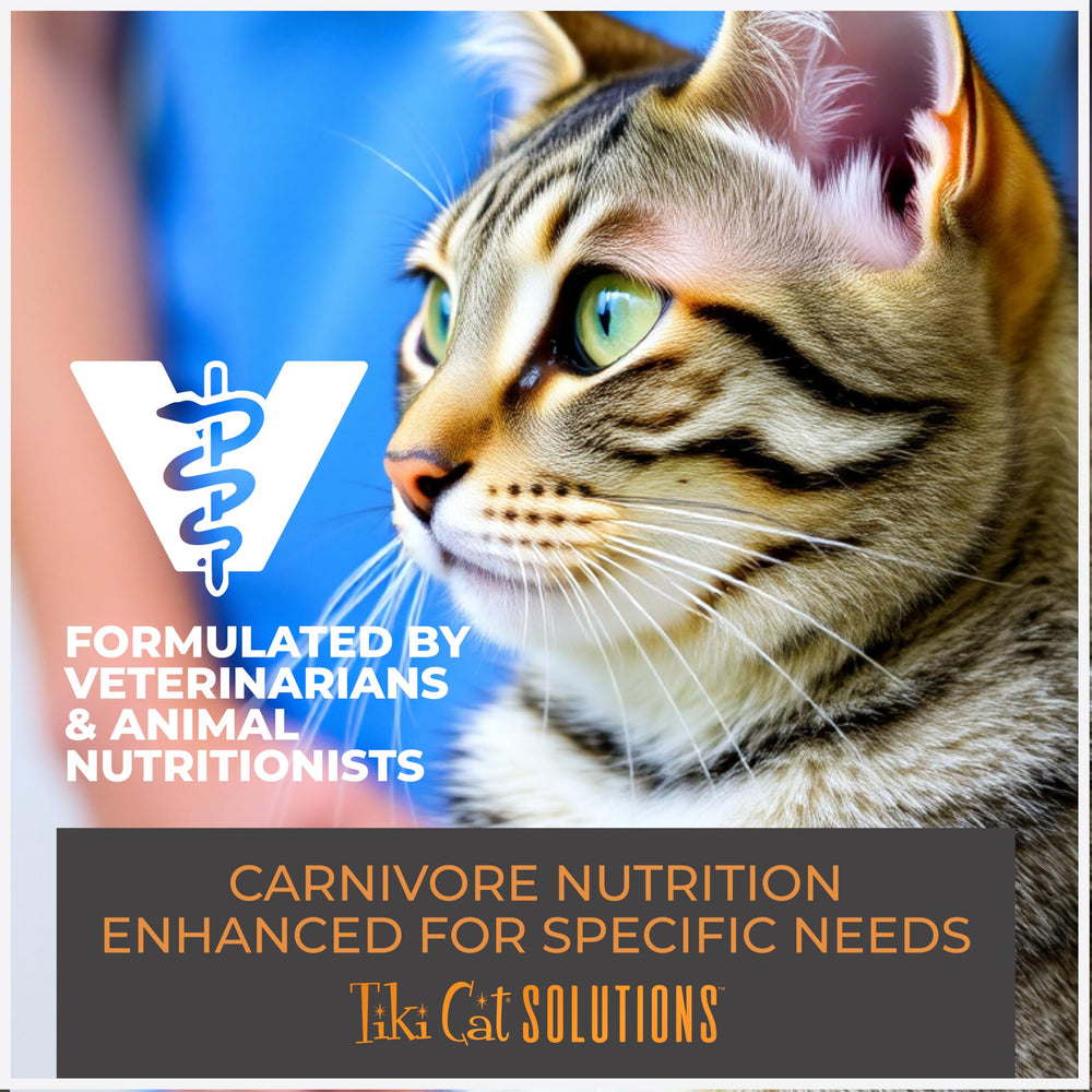 Tiki Cat Solutions protein-rich tuna formula — supports essential nutrients in liquid form