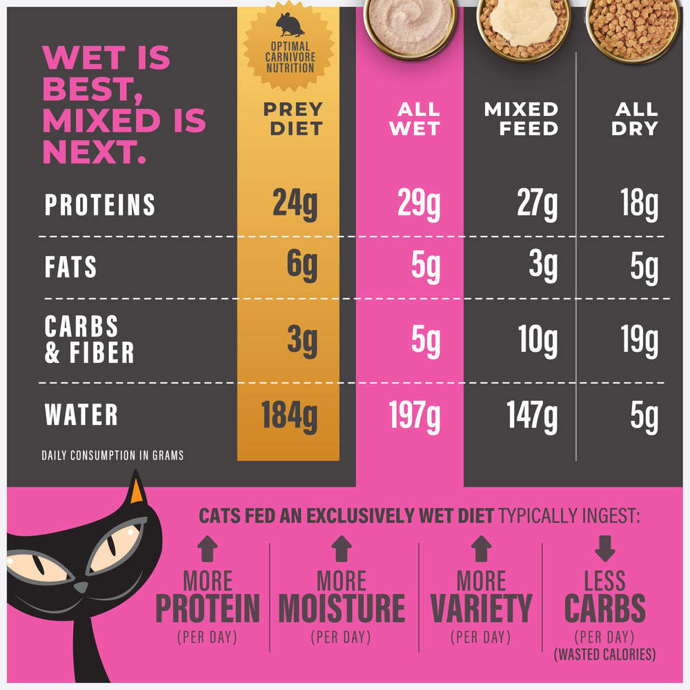 Moisture-rich Tiki Cat Solutions Mousse helps hydration during meals