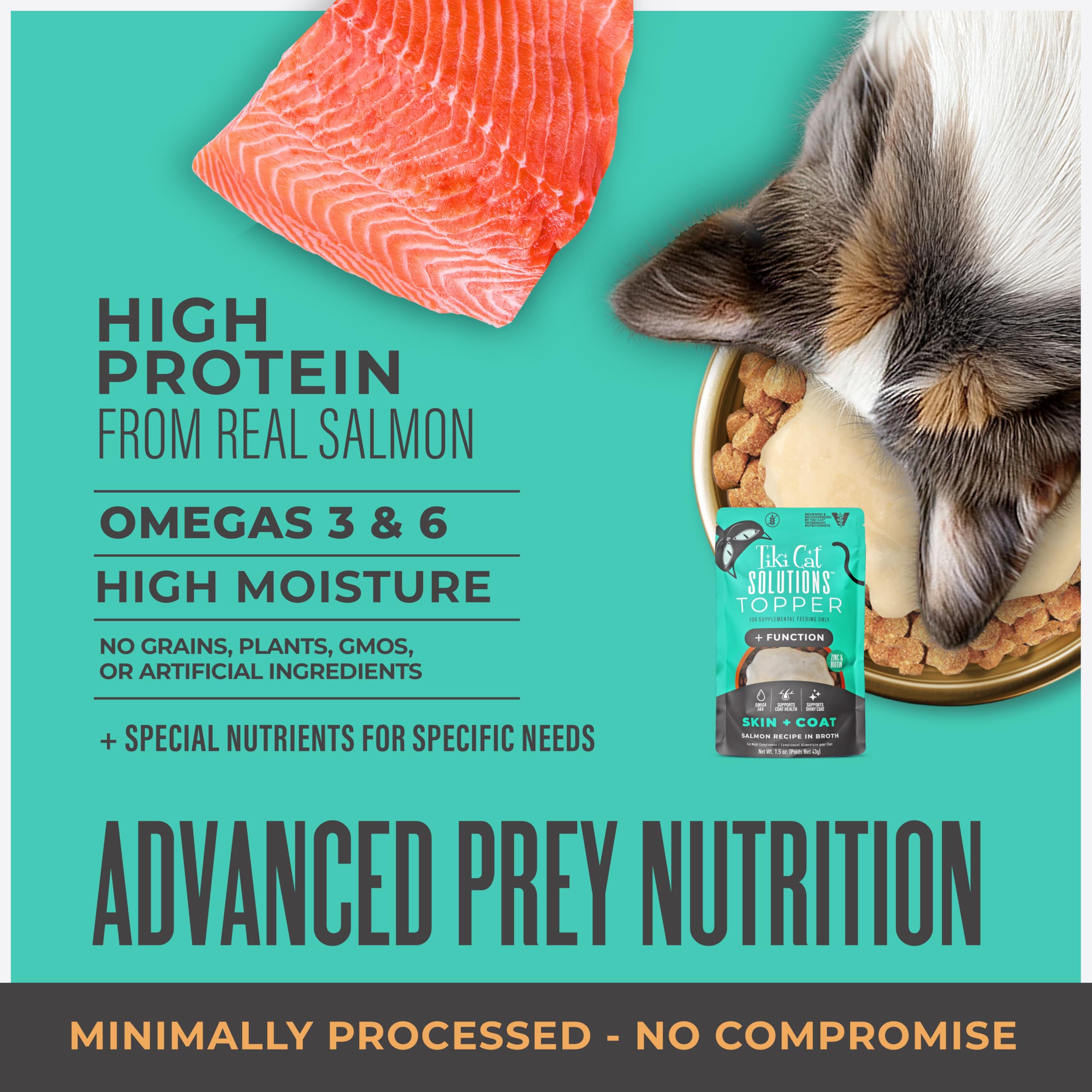 TIKI PETS Salmon broth image highlights real protein source for toppers.